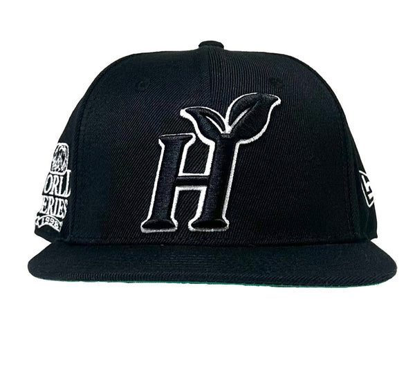 Custom Fitted Healthy Hat
